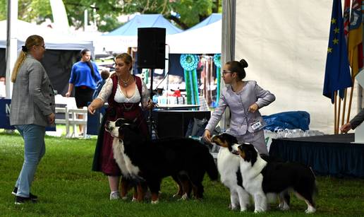 FOTO Neodoljive su njuškice ovih dana blistale u Karlovcu