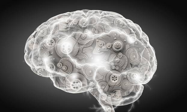 Mechanism inside human brain . Mixed media