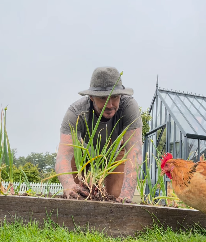 VIDEO 'Farmer Beckham' brao luk, a onda mu je u kadar uletio neočekivani gost: 'Ovo je hit!'