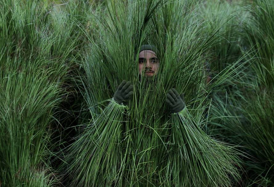 NFL - Super Bowl LX - Half-Time Show - New England Patriots v Seattle Seahawks