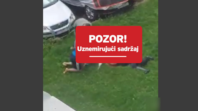Horor u Varaždinu:  Bul terijeri ozlijedili ženu i njenog psa