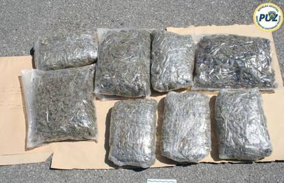 Razbili lanac krijumčara droge i zaplijenili 30 kilograma 'trave'