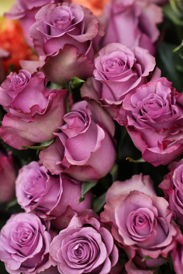 Zagreb: Bogat izbor cvijeća i cvjetnih aranžmana povodom Valentinova