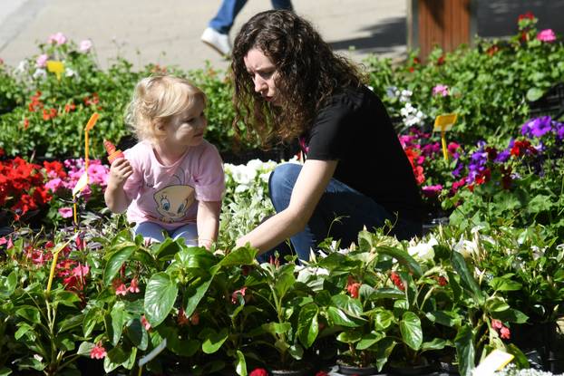 Obilježavanje Dana grada Križevaca uljepšano je cvjetnom manifestacijom "Križevci u cvijeću"