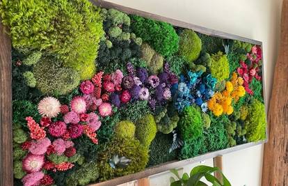 Novi europski Bauhaus u praksi: Arhitektura koja dizajnira dom i gaji našu vezu s prirodom