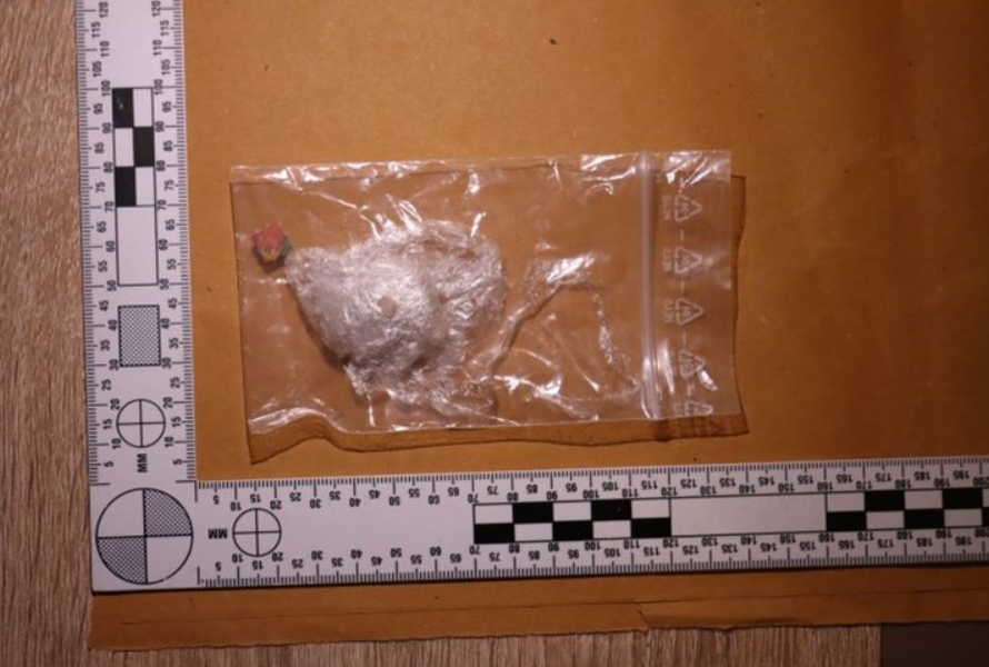 VIDEO Kakav ulov u Zagrebu: Dileru našli meskalin, gljive, LSD, u stanu je imao i kuburu