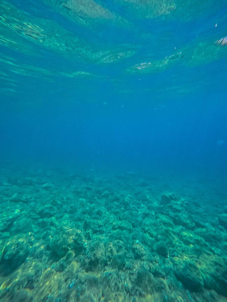 Uvala Pupnatska Luka na otoku Korčuli