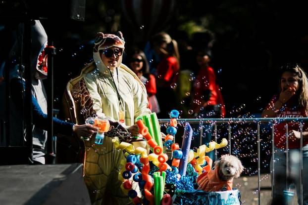 Tompkins Square Halloween Dog Parade in New York