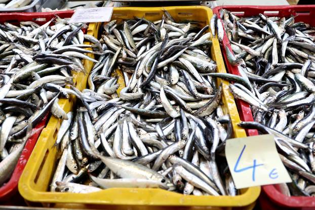 Šibenik: Skromna ponuda srdela i ostale ribe na ribarnici