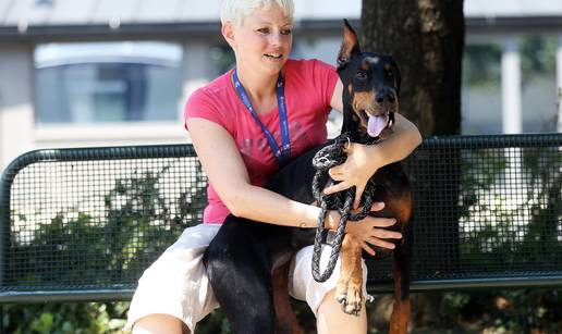 'Arty je bila dvospolac, vlasnik je rekao: Ne&cacute;u o&scaron;te&cacute;enog psa!'