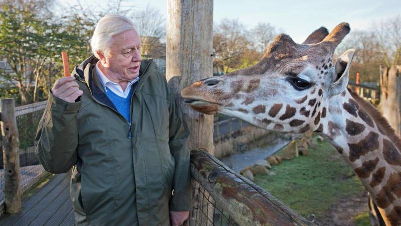 Evo što je David Attenborough (100) izbacio iz prehrane i time produljio svoj životni vijek