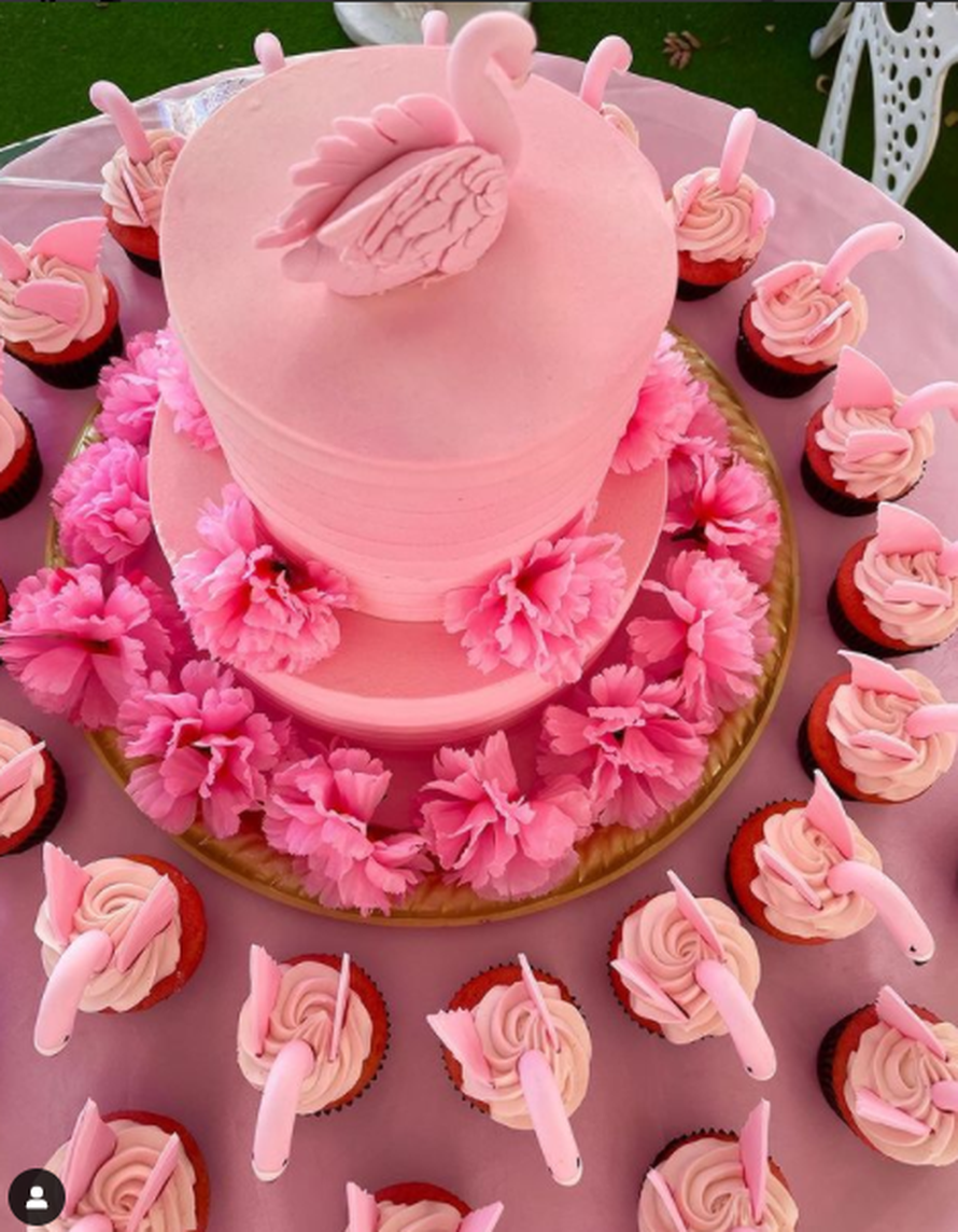 Udala se za rozu boju?! Ljudi mi kažu da sam luda, ali zapravo su oni jadni i bez osobnosti...