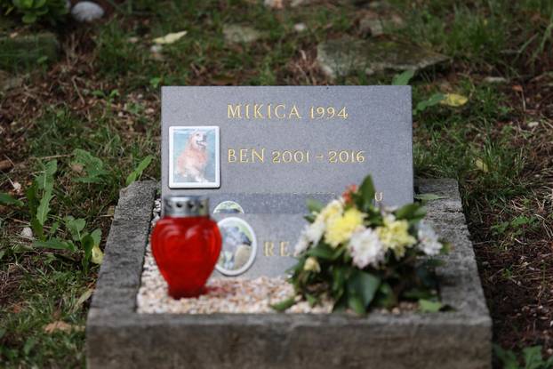 Rijeka: Groblje kućnih ljubimaca na Kozali