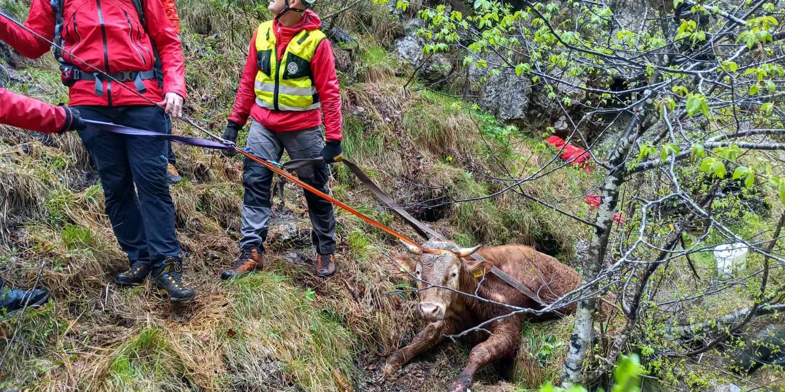 VIDEO Bik u Sloveniji upao u potok: 'Spašavala ga je gorska služba, izvlačio ga helikopter'