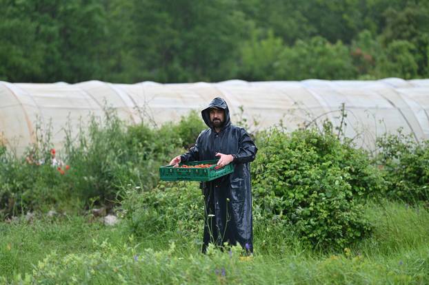 Stanovnici Vrgorca i okolice kojima su poplavljeni nasadi