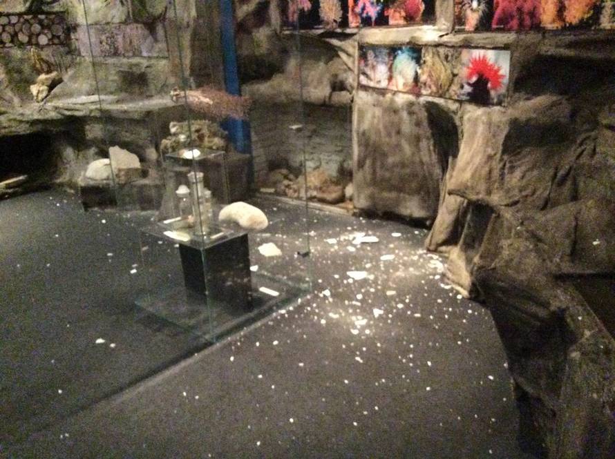 Hrvatski prirodoslovni muzej teško je stradao u potresu