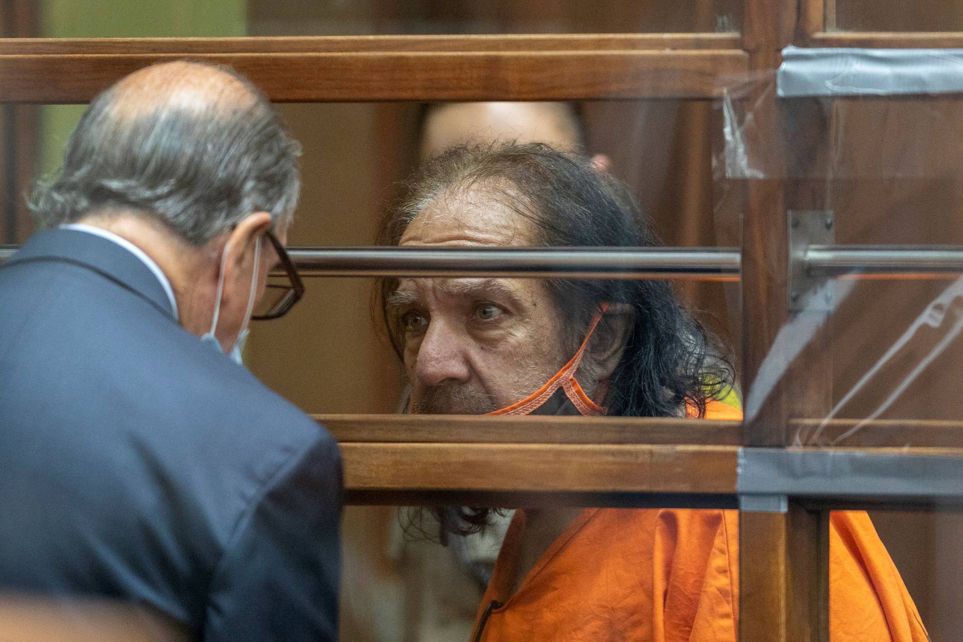 FILE PHOTO: Adult film star Ron Jeremy appears in court on charges of rape, in Los Angeles