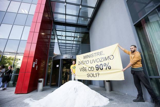 Zagreb: Ivan Vilibor Sinčić i članovi Živog zida istovarili 300 kg soli ispred Ministarstva gospodarstva