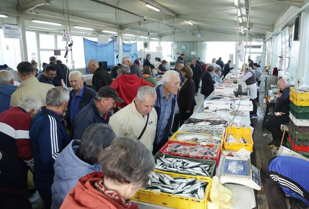 Šibenik: Ponuda ribe na  šibenskoj ribarnici