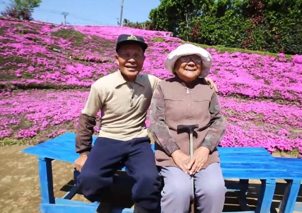FOTO Pogledajte tu divotu: Farmer zasadio tisuće cvjetova za svoju slijepu suprugu