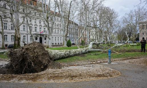 Oluja sru&scaron;ila platanu nakon 153 godine na Zrinjevcu! Stigla je iz Trsta kad je imala dvije godine