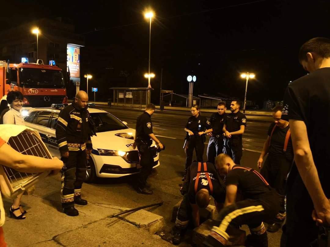 Akcija spašavanja mačića u Zagrebu: 'Vatrogasci su dva puta dolazili da ga izvuku van'