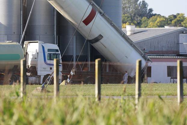 Sokolovac: Kreće eutanazija svinja, uvode se novi sigurnosni protokoli