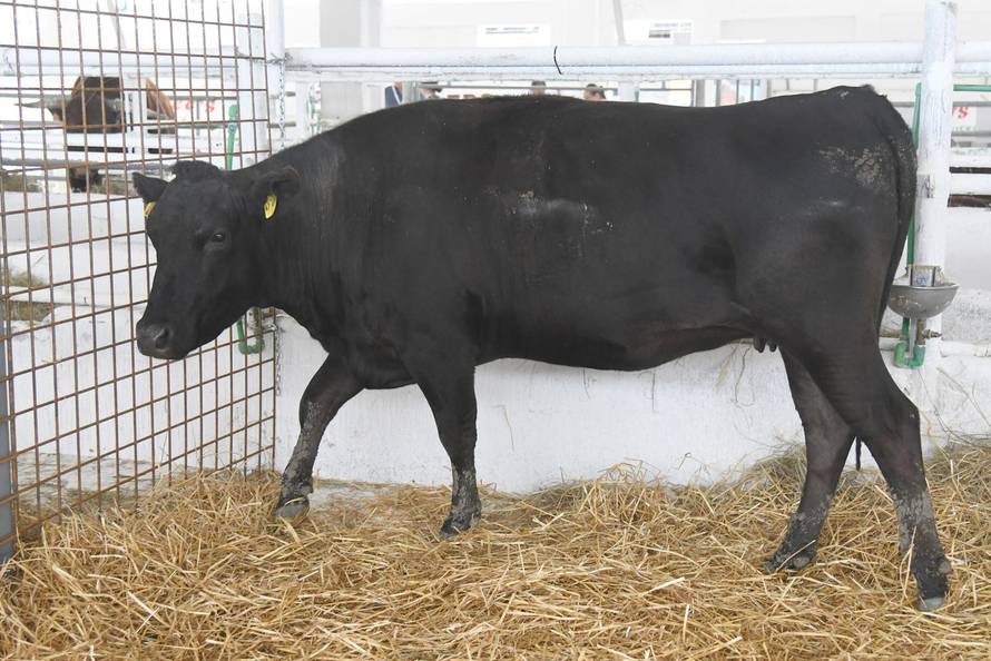 Gudovac: 32. izdanje međunarodnog jesenskog sajma