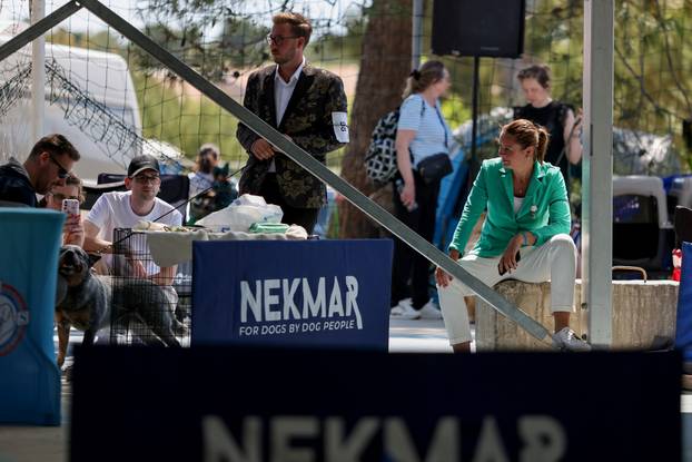 Zaton: Međunarodna izložba pasa pod nazivom CACIB Zadar 2025