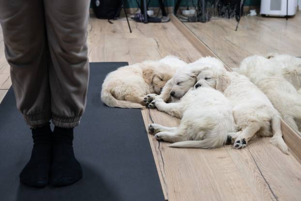 24SATA Paw Yoga, inovativni koncept joge koji je stigao u Hrvatsku