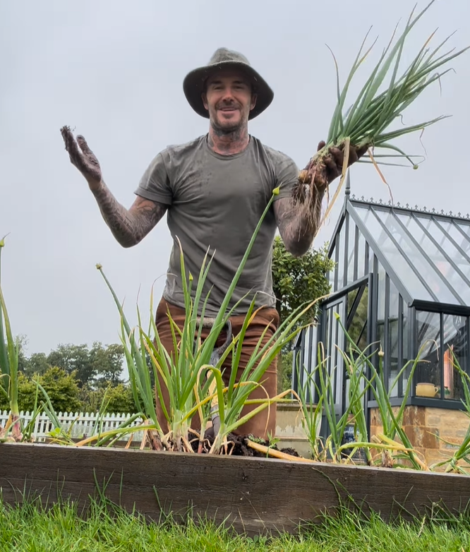 VIDEO 'Farmer Beckham' brao luk, a onda mu je u kadar uletio neočekivani gost: 'Ovo je hit!'