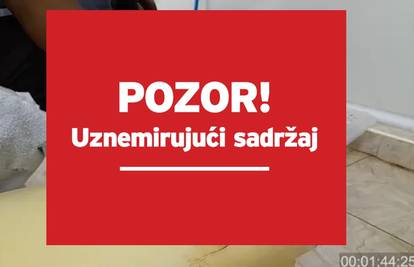 Od njih rade luksuzne Gucci torbice: U Tajlandu pitone tuku čekićem i živima im deru kožu