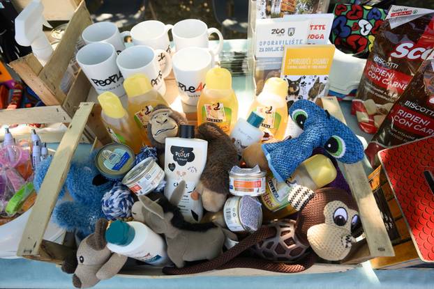 U skloništu Dumovec održan je prvi Dumovečki buvljak na kojem su građani mogli posjetiti sklonište te upoznati pse i mačke