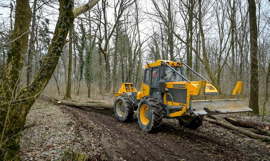 FOTO Veliki zahvat u Varaždinu: Dravska park šuma ide u obnovu vrijednu 5,1 milijun eura