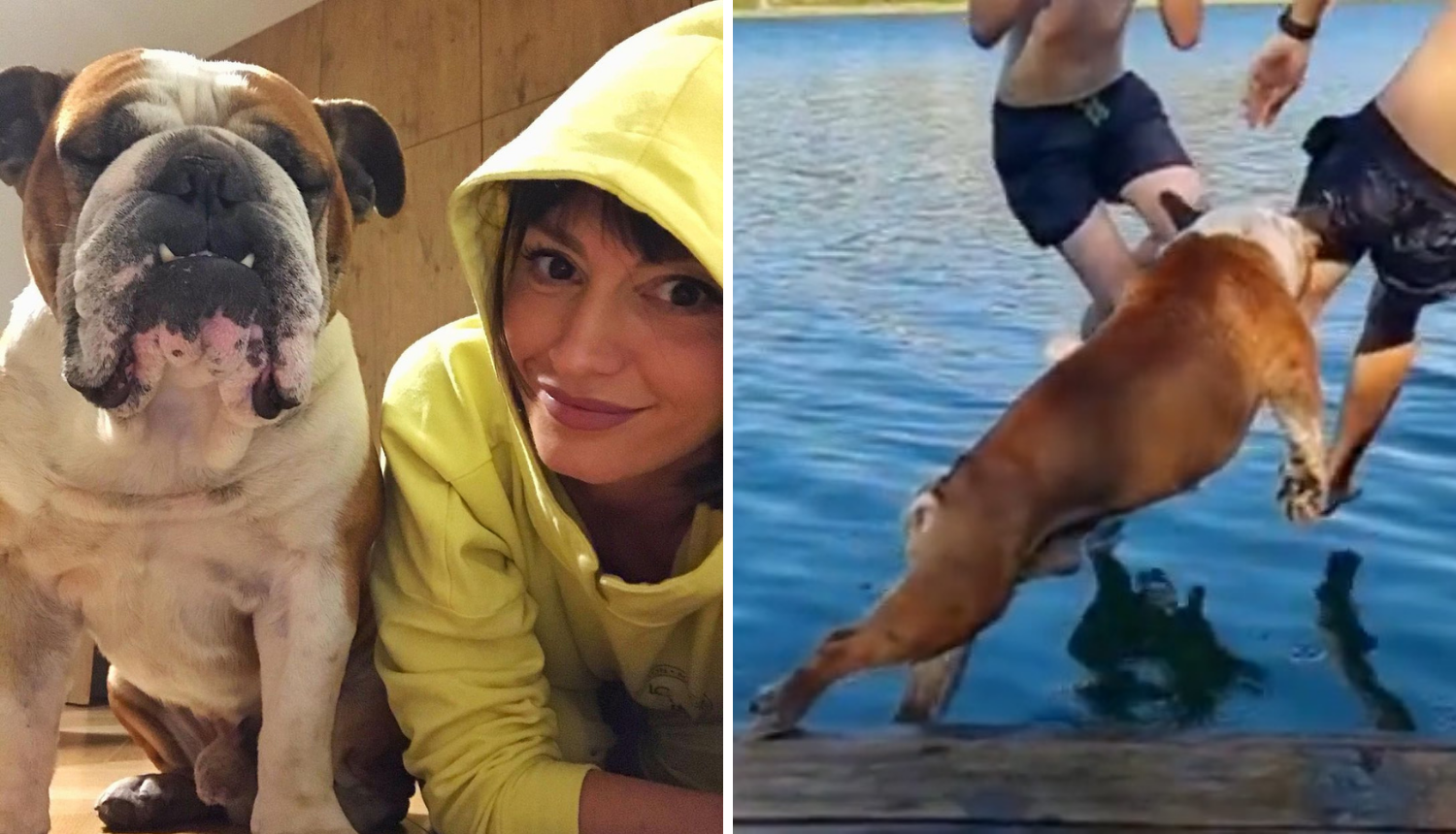 Ivana Paradžiković urnebesnim videom čestitala psu rođendan: 'Opet sam ga morala spašavati'