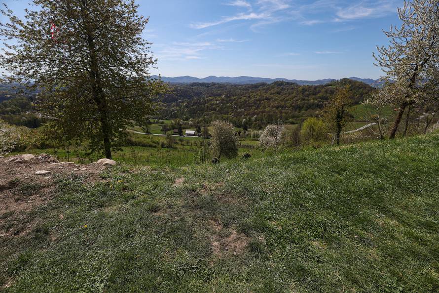 24sata Kod Dvora Veliki Tabor top usmrtio muškarca