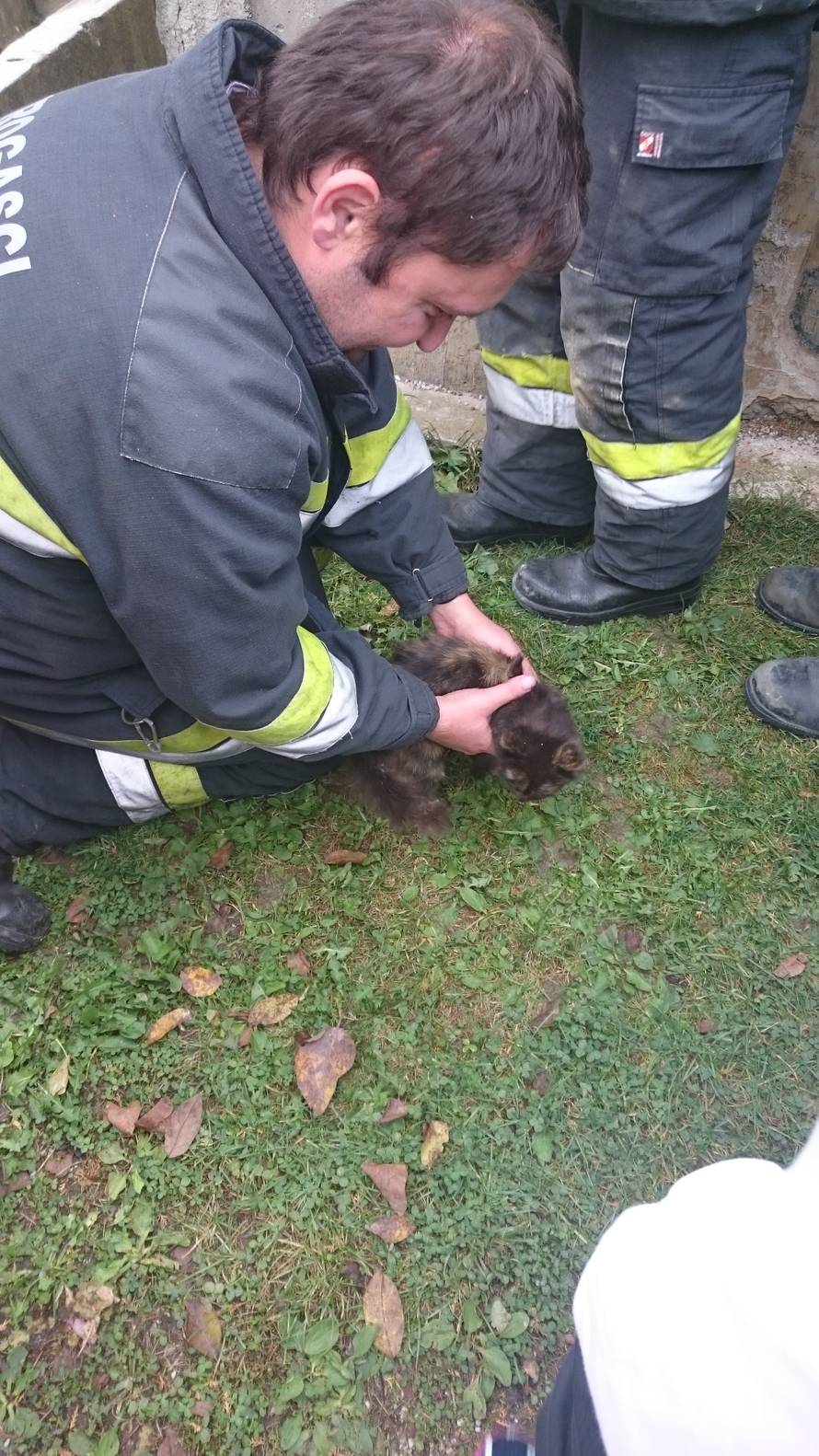 Učenici su pozvali vatrogasce da spase mačića iz bunara