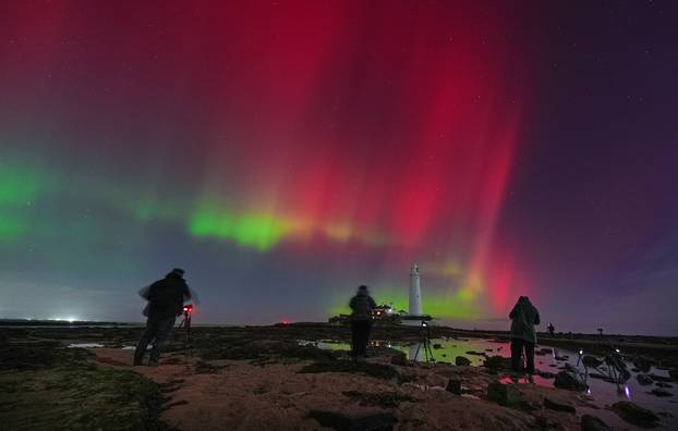 UK: Polarna svjetlost iznad zaljeva Whitley iznad svjetionika St. Mary's u zaljevu Whitley