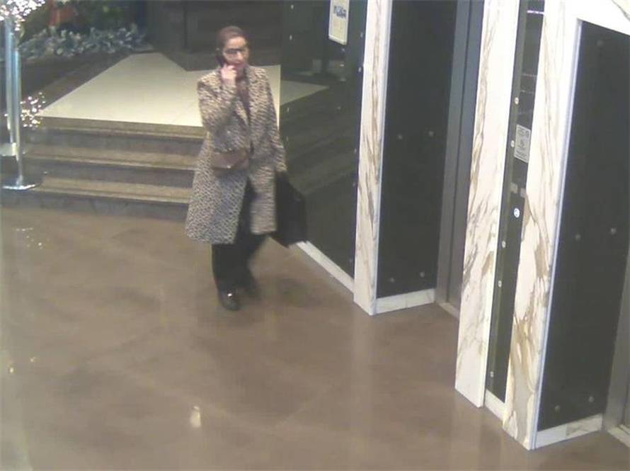 Zagrebačka policija traži ovu damu u leopard kaputu. Ukrala državljaninu BiH 200.000 €?!