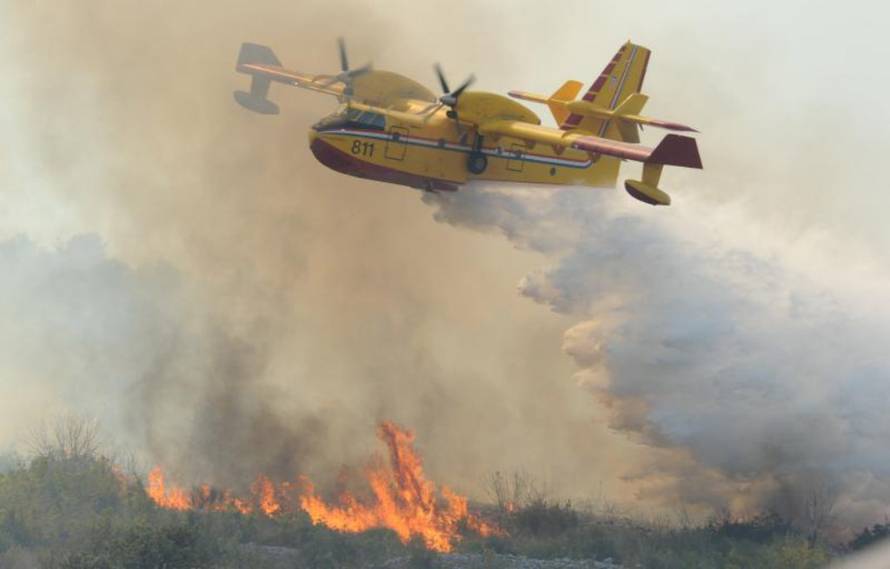 Hrvoje Jelavić/Pixsell