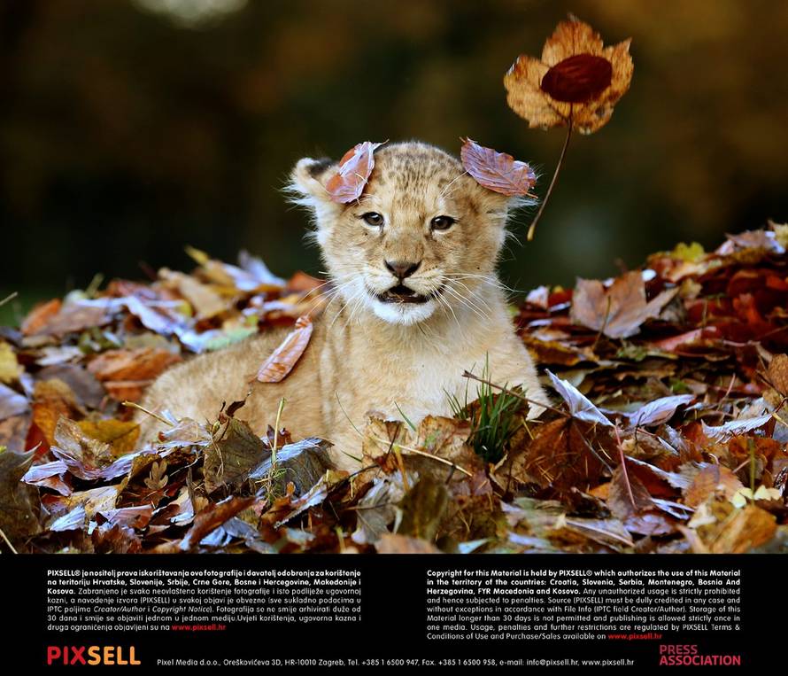 Press Association/Pixsell