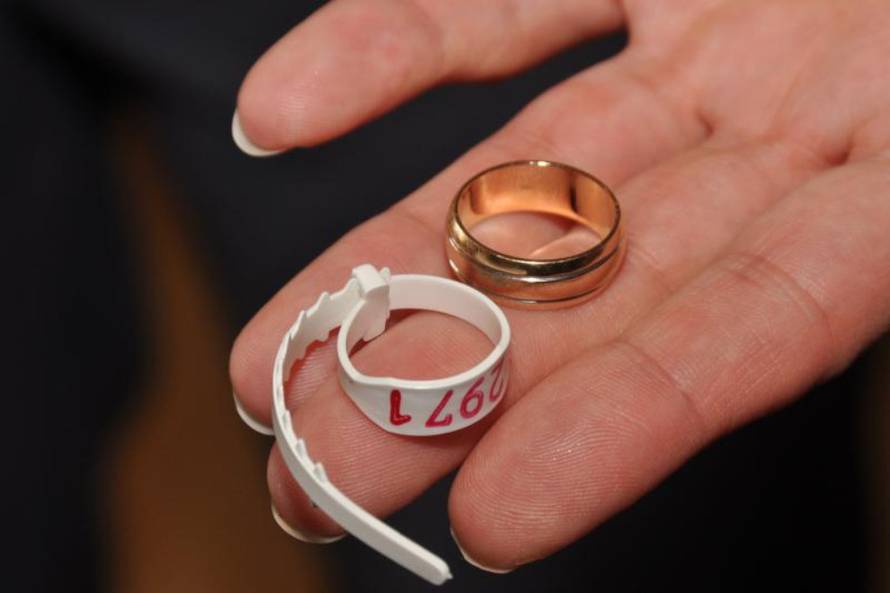 Duško Marušić/Pixsell