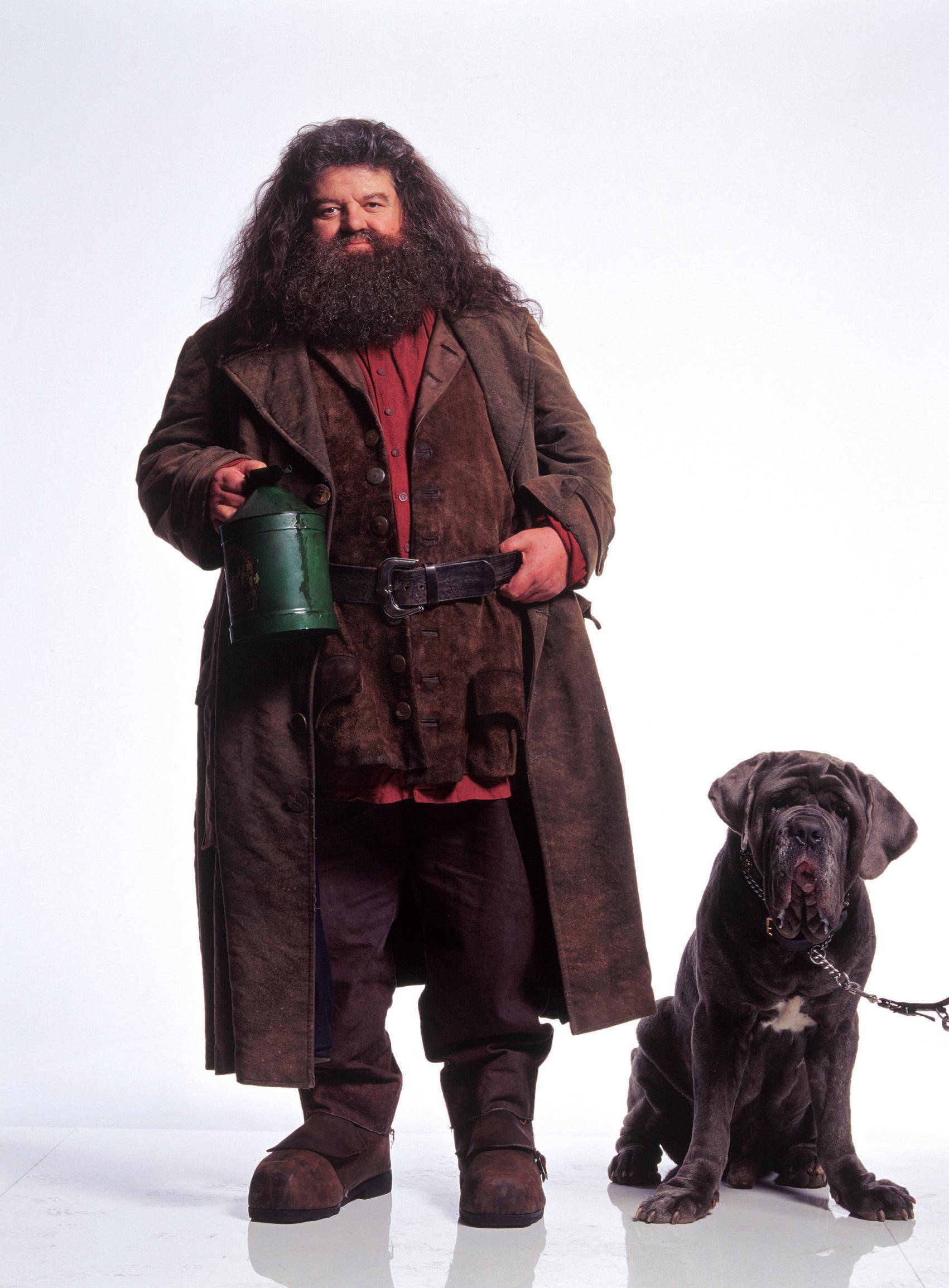 Hagrid u invalidskim kolicima: Coltrane više ne može ni ustati