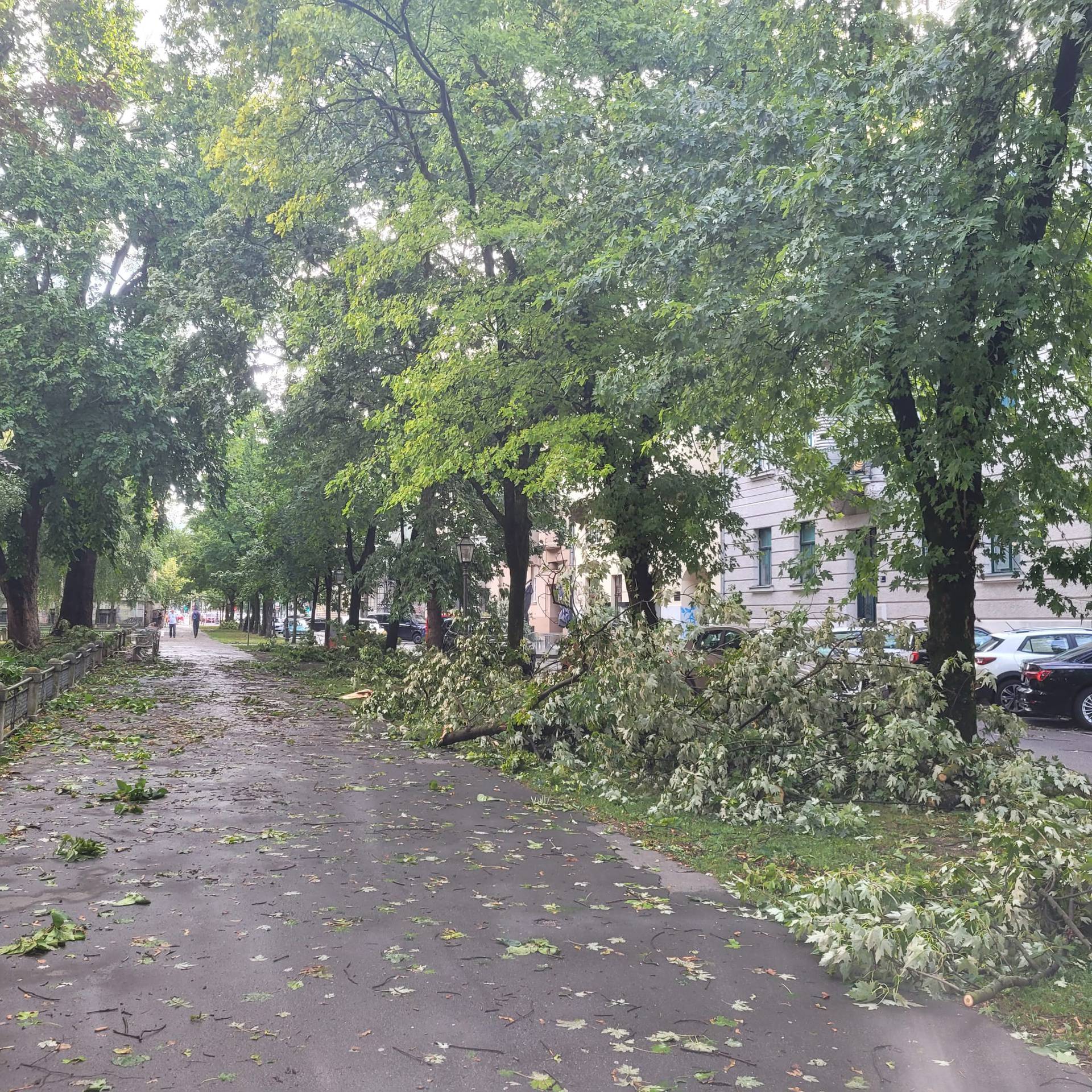 Zagreb jutro poslije megaoluje: Ostaci grana na ulicama, u tijeku sanacija štete i čišćenje