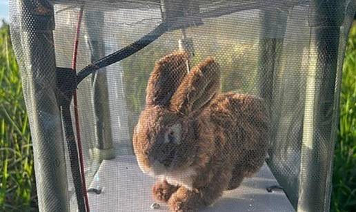 Robotski zečevi tamane pitone po Floridi: Ispuštaju miris zeca i topli su, a cijena im je 3500 €