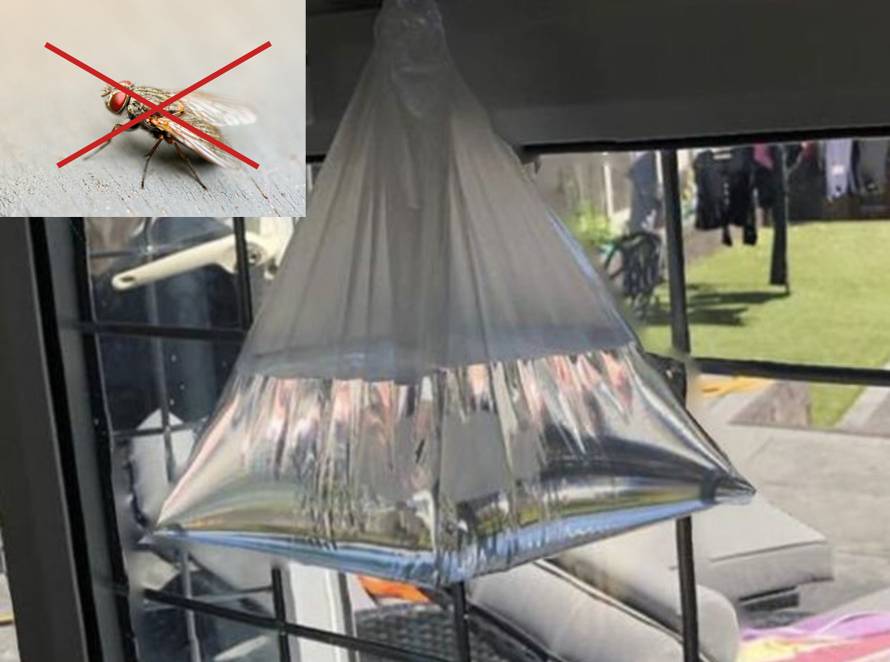 Trik za tjeranje muha