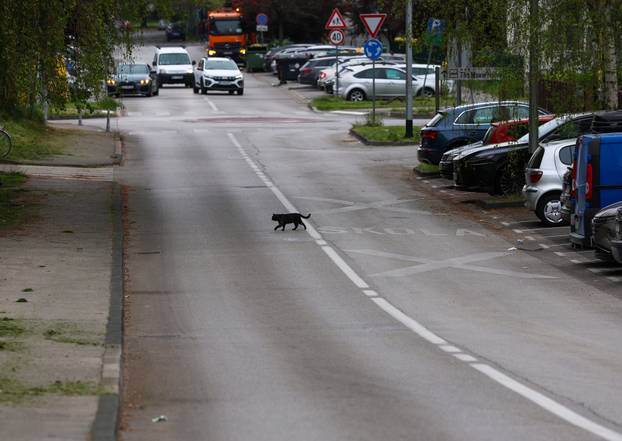 Zagreb: Nastavlja je rušenje zgrade Vjesnika