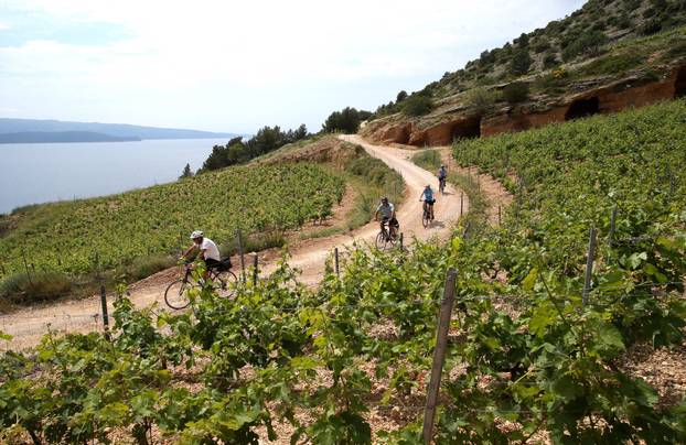 Biciklisti?ka staza u mjestu Murvice na otoku Bra?u