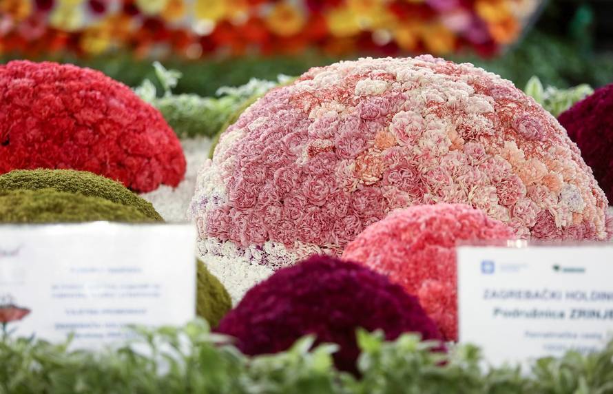 Zagreb: Å arenilo boja na otvorenju Floraarta