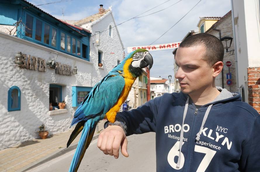 Duško Jaramaz/PIXSELL